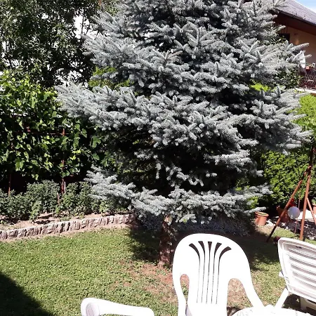 Apartman Lázár *