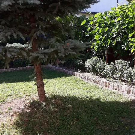 Lazar Apartment