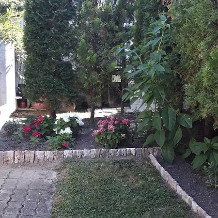 Lazar * Héviz