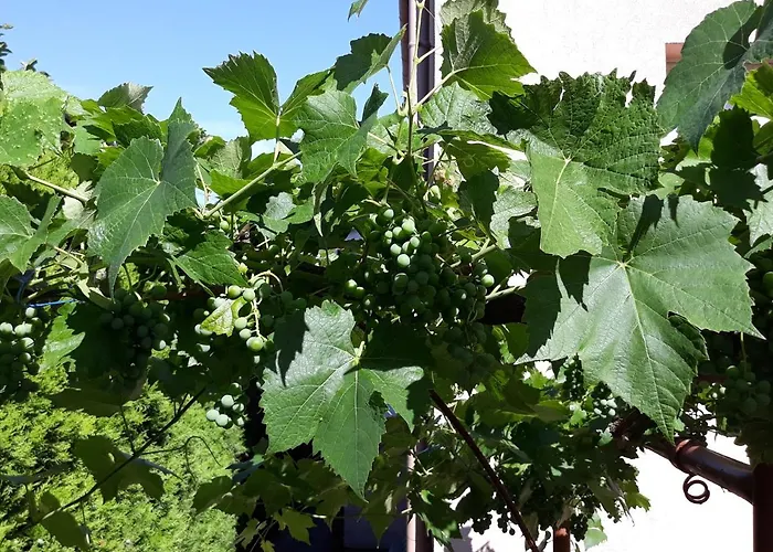 Lázár Appartamento *